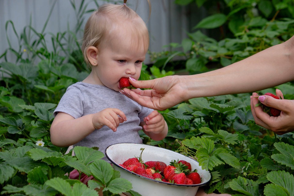 Как не заразиться глистами