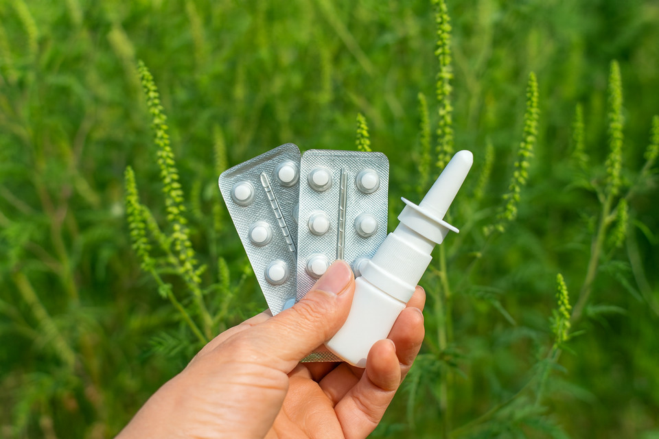 На що алергія в серпні