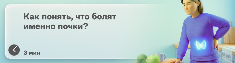 Как понять, что болят почки: сигналы, которые легко спутать, но нельзя игнорировать