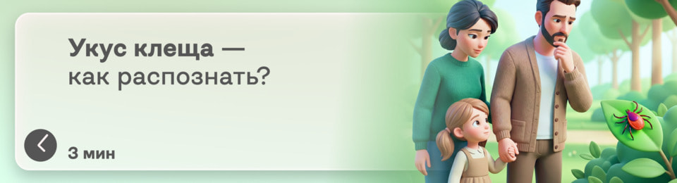 Как выглядит укус клеща: тревожные признаки, которые нельзя пропустить после прогулки