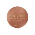 Рум'яна для обличчя BOURJOIS (Буржуа) Blush тон 32 2,5 г