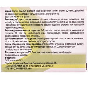 Капсули заспокійливі Пустирник Mg+B6 3 блістера по 10 шт