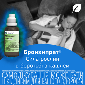 Бронхипрет р-н фл. 100мл