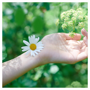 Прокладки гігієнічні жіночі NATURELLA (Натурелла) Ultra Normal Calendula Tenderness м'якість календули 10 шт