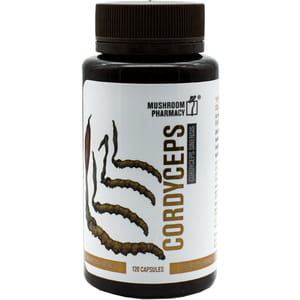 Гриб Кордіцепс капсули для профілактики онкогематологічних захворювань флакон 120 шт