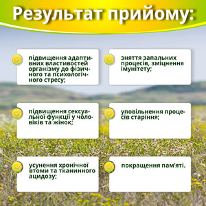 Ашваганда супер концентрат капсулы общеукрепляющего действия флакон 60 шт