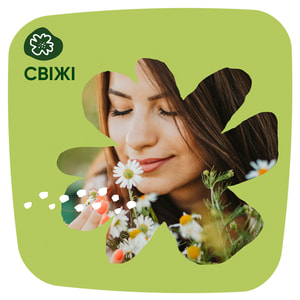 Прокладки ежедневные женские NATURELLA (Натурелла) Plus Trio Camomile (Плюс Трио) с ромашкой 36 шт