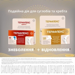 Терафлекс капс. №60