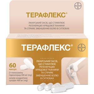 Терафлекс капс. №60