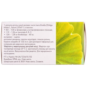 Билобил капс. 40мг №60