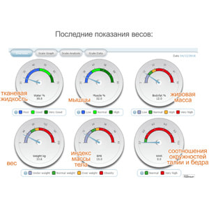 Весы диагностические BEURER (Бойрер) BF 600 Pure White