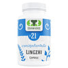 Гриб Лингджи (Рейши) ERAWADEE (Эравади) №21 капсулы оказывают мощное противоопухолевое действие упаковка 100 шт