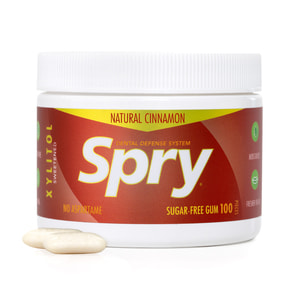 Жевательная резинка SPRY (Спрай) натуральная с корицей и ксилитом упаковка 100 шт