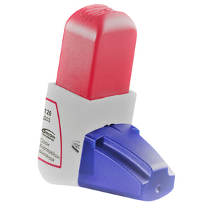 Буфомикс Изихейлер пор. д/инг. 80мкг/4,5мкг/доза ингал. 120доз