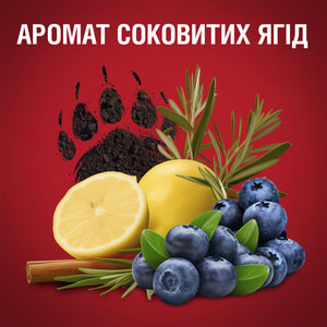 Дезодорант аэрозольный OLD SPICE (Олд спайс) Bearglove (Беарглов) 150 мл