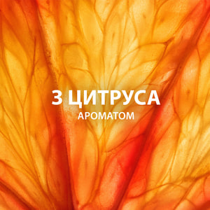 Лосьон после бритья  GILLETTE (Жиллет) Цитрус Физ Бодрящий 100мл