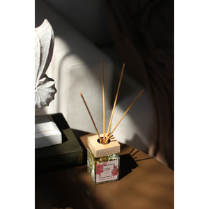 Аромадифузор ESSE Home (Ессе Хоум) Цвітіння імбиру 100 мл