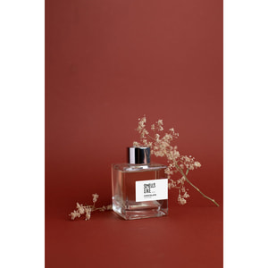 Аромадиффузор ESSE Smells Like (Эссе Смилс лайк) Chocolate (Шоколад) 100 мл