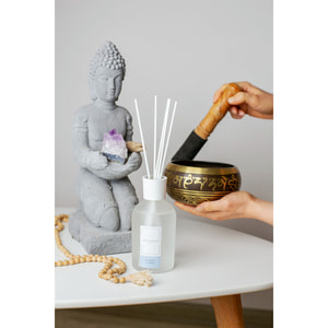 Аромадиффузор ESSE (Эссе) Argument Ocean storm 200 мл