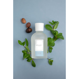 Аромадиффузор ESSE (Эссе) Argument Ocean storm 200 мл