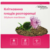 Клітковина плодів розторопші 210 г Solution Pharm