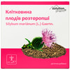 Клетчатка плодов расторопши 210 г Solution Pharm