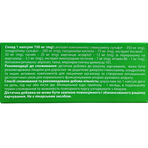 Карипаин капсулы источник глюкозамина и хондроитина для нормализации работы опорно-двигательного аппарата 4 блистера по 15 шт