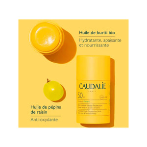 Средство солнцезащитное для лица и тела CAUDALIE (Кадали) Vinosun Protect (Виносан Протект) SPF50 15 г