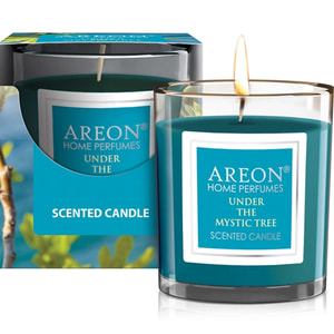 Свеча ароматическая AREON (Ареон) Мистическое дерево 1 шт