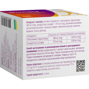 Флукстер Макс капс. №60 Solution Pharm