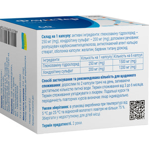 Флукстер капс. №60 Solution Pharm