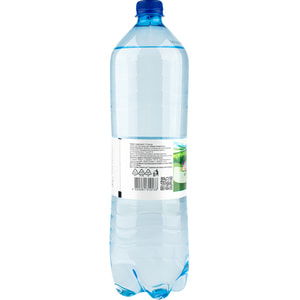 Вода минеральная питьевая лечебно-столовая, гидрокарбонатная натриевая, борная, исскуственно насыщенная СО2 Лужанская 15 бутылка 1,5 л