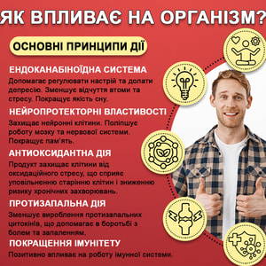 Тройная сила CBD (КБД) способствует уменьшению ощущения тревожности и психоэмоционального напряжения, стресса флакон 60 шт