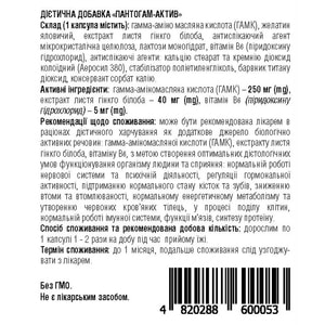 Пантогам-Актив капсули для нормальної роботи нервової системи, усуненню розладів пам'яті, зниженню втоми контейнер 60 шт