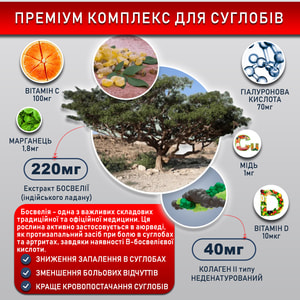 Колаген неденатурований II типу для суглобів капсули 60 шт