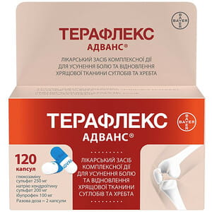 Терафлекс Адванс капс. №120