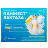 Панжест Лактаза диетическая добавка капсулы 2 блистера по 10 шт