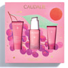 Купити Набір CAUDALIE (Кадалі) Vinohydra Serum Set 2026 Сироватка гіалуронова 30 мл + Гель для вмивання зволожуючий 30 мл + Крем сорбет 15 мл Набір CAUDALIE (Кадалі) Vinohydra Serum Set 2026 Сироватка гіалуронова 30 мл + Гель для вмивання зволожуючий 30 мл + Крем сорбет 15 мл