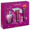 Набор CAUDALIE (Кадали) The des Vignes 50 mL Set Xmas 2026 крем для рук и ногтей 30 мл + гель-душ 50 мл + туалетная вода энергетическая 50 мл