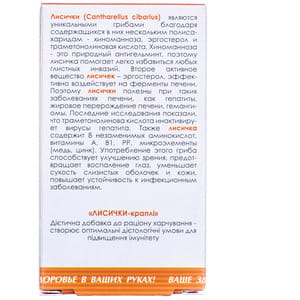 Капли Гриб Лисички Грибная аптечка для общего укрепления организма способствует повышению иммунитета флакон 50 мл