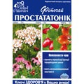 Фіточай Ключі здоров'я Простататонік в фільтр-пакетах по 1,5 г 20 шт