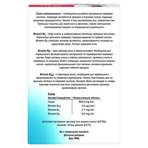 Капсулы для улучшения настроения Доппельгерц Актив Глицин + В-витамины 3 блистера по 10 шт