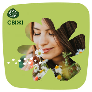 Прокладки щоденні жіночі NATURELLA (Натурелла) Light Camomile ромашка 20 шт