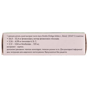 Билобил Интенс капс. 120мг №20