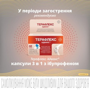 Терафлекс капс. №120