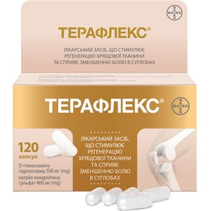 Терафлекс капс. №120
