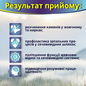 Капсули для профілактики та комплексного лікування захворювань сечостатевої системи Проліт Супер флакон 60 шт