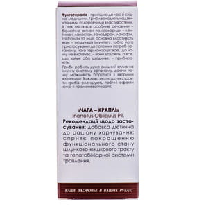 Краплі Гриб Чага Грибна аптечка для покращення функціонального стану шлунково-кишкового тракту флакон 100 мл