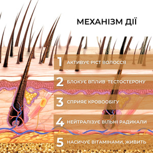 Засіб №1 проти випадіння волосся Elfa Pharm (Ельфа Фарм) з справжньою реп'яховою олією і активатором росту Bh Intensive+ 100 мл