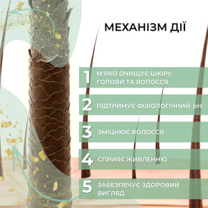 Шампунь засіб №1 проти випадіння волосся Elfa Pharm (Ельфа фарм) з активатором росту Bh Intensive+ 200 мл